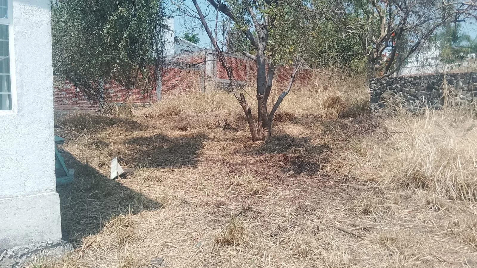 SE VENDE CASA EN OAXTEPEC MORELOS — foto 15