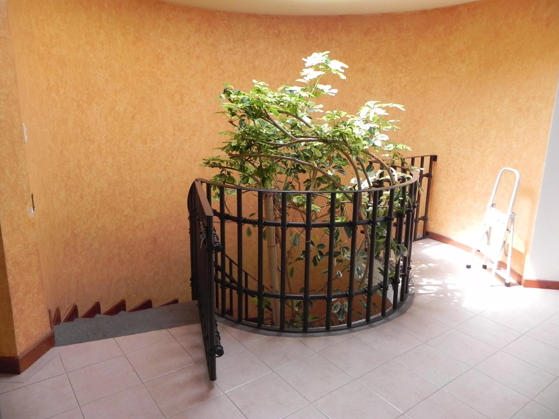 Residencia en Venta, Bosques de Morillotla. 3 Recámaras + Suite de Servicio — foto 14