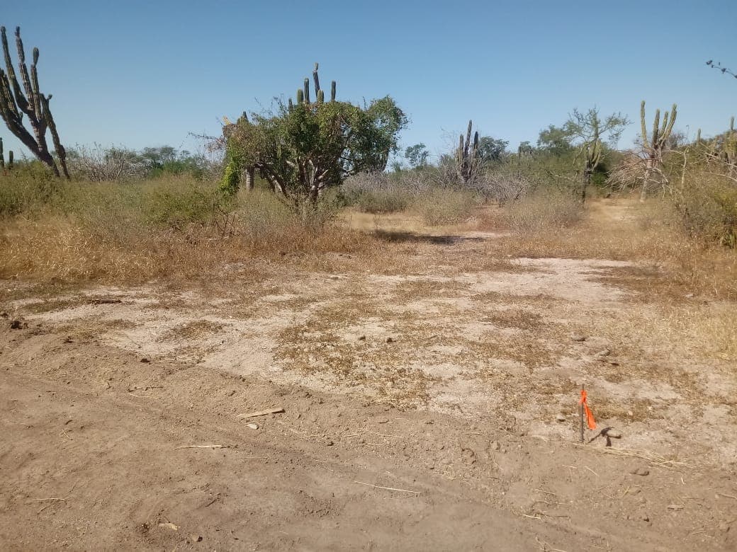 Terreno Venta en Pagos  en La Paz, San Pedro — foto 4