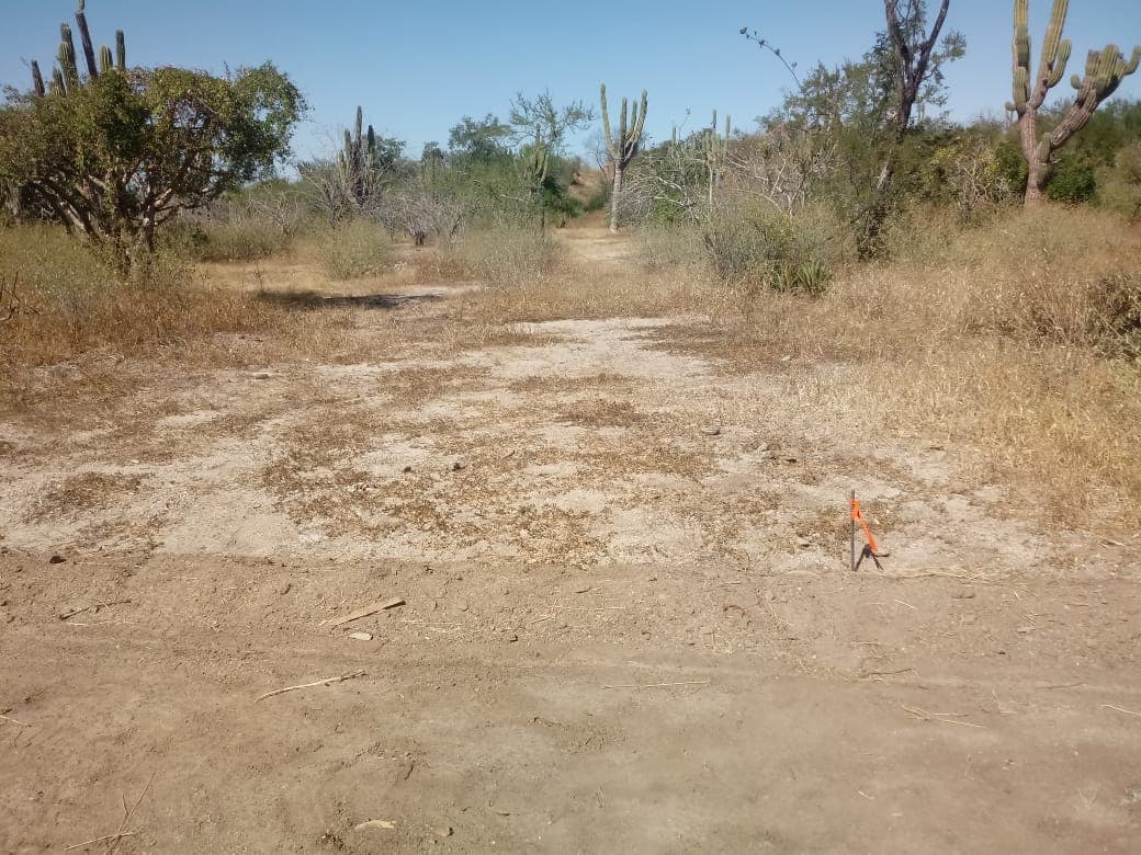 Terreno Venta en Pagos  en La Paz, San Pedro — foto 5