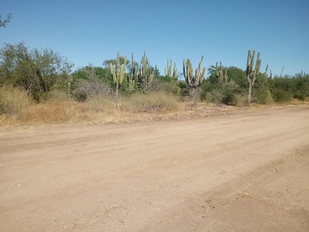 Terreno Venta en Pagos  en La Paz, San Pedro — foto 6