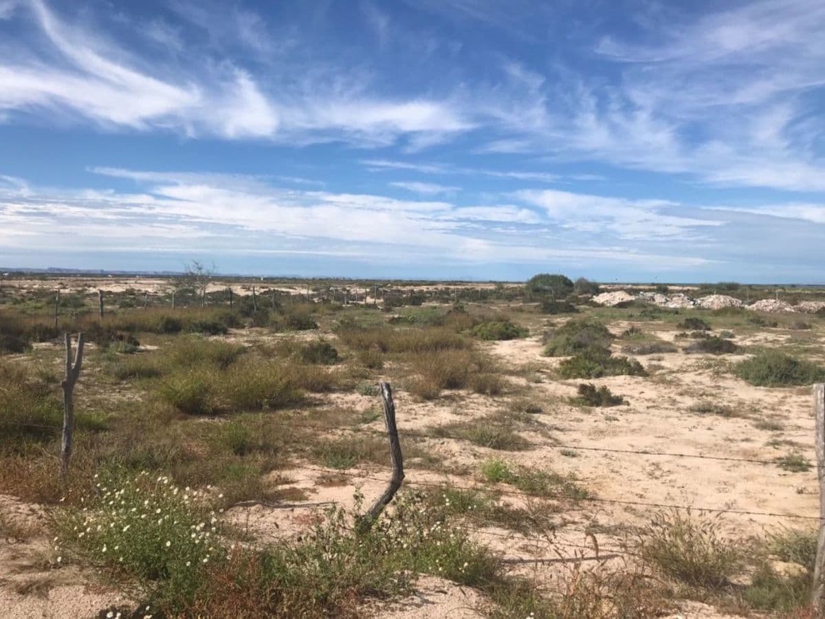 Terreno en venta en La Paz, Chametla VIP — foto 4