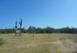 TERRENO EN VENTA EN LA PAZ, MEZQUITITO