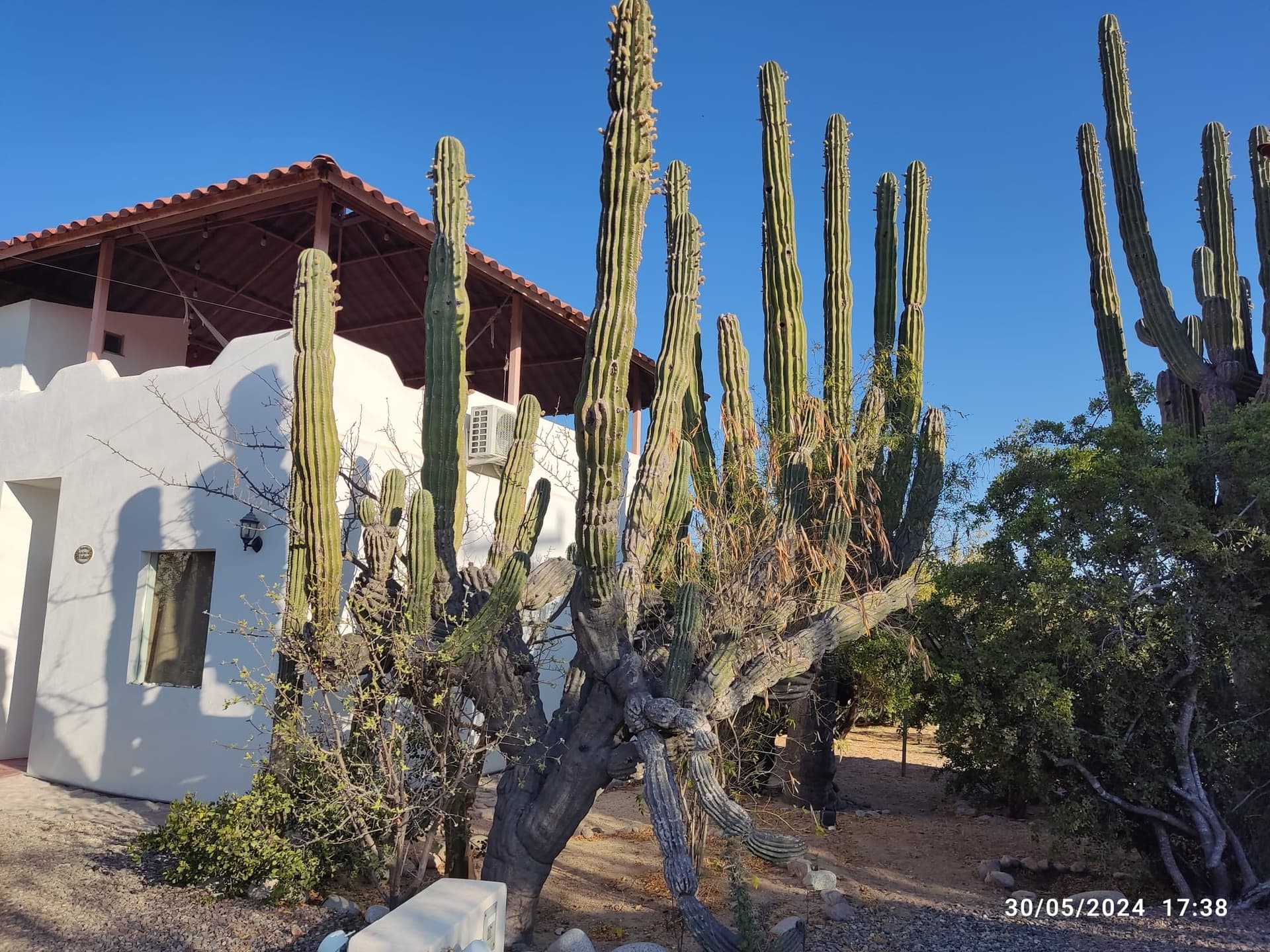 Cabañas departamentos en El Comitan — foto 1