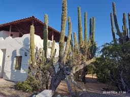 Cabañas departamentos en El Comitan