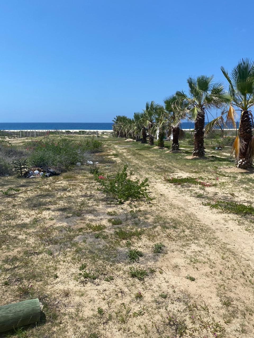 Terreno en Venta en Elias Calles, Cerca del Mar — foto 11