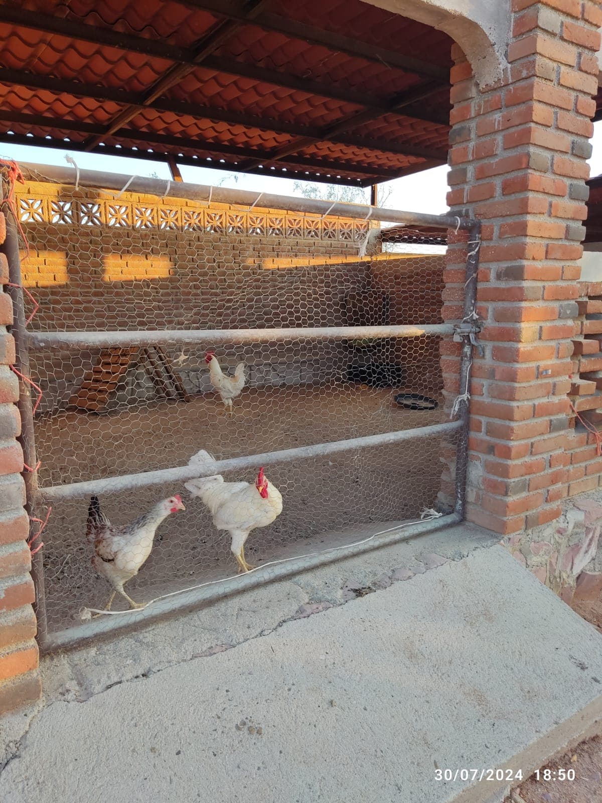 VENTA DE RANCHO EN SAN PEDRO, LA PAZ, B.C.S. — foto 12