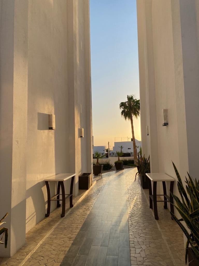DEPARTAMENTO EN RENTA EN LA PAZ, PASEOS DEL CORTÉS, Edificio Torres Cantera — foto 11