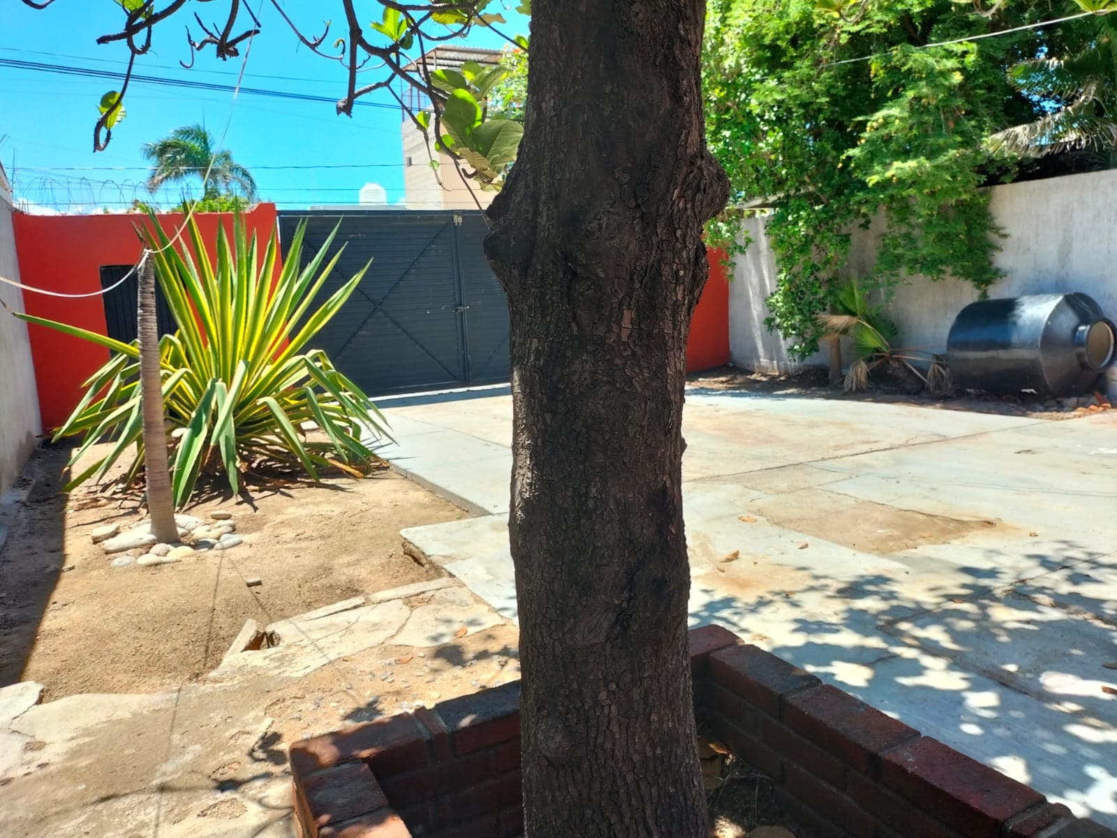 casa en renta en Adolfo Ruiz Cortinez — foto 12