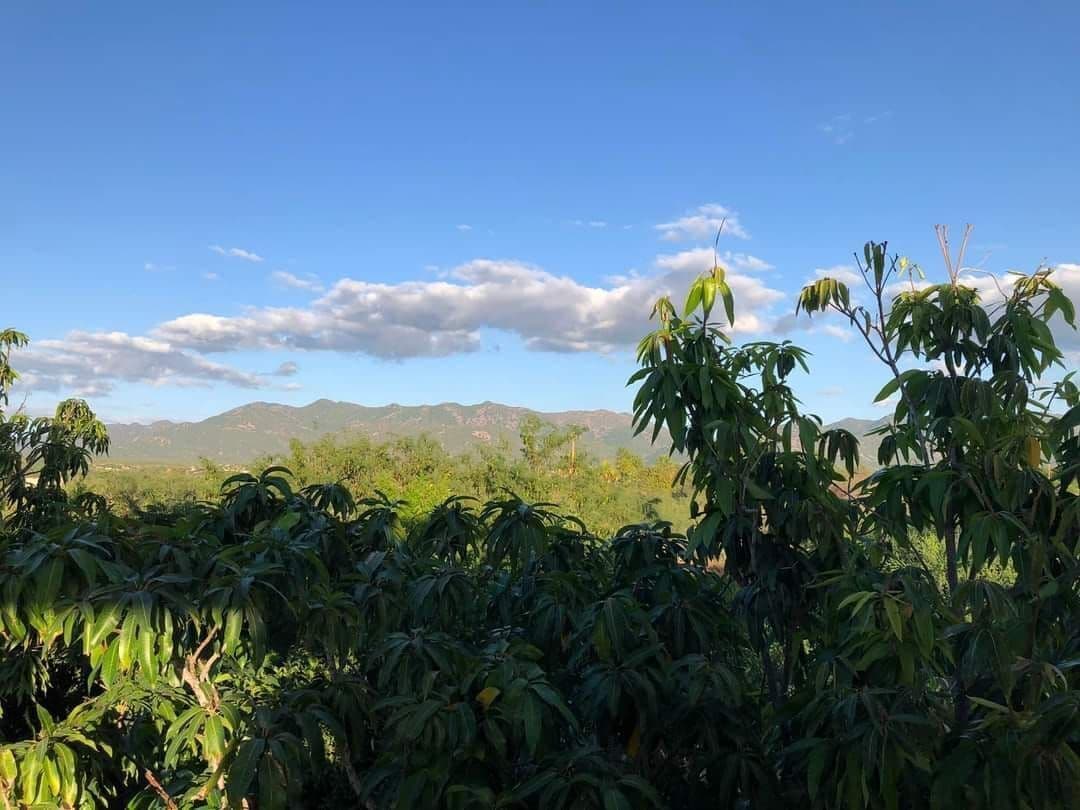 Casa Campestre PUMA San Pedro — foto 5