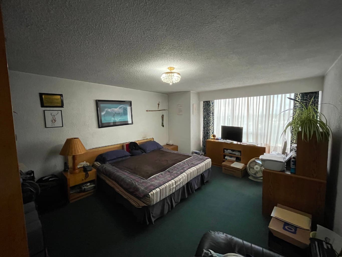 Departamento en Renta ó Venta — foto 14