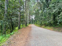 TERRENO EN VENTA EN EXCLUSIVA ZONA EN VALLE DE BRAVO
