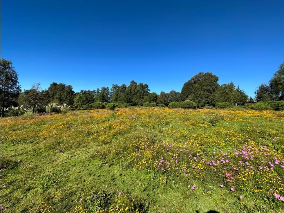 TERRENO EN VENTA PARA RANCHO EN VALLE DE BRAVO — foto 1