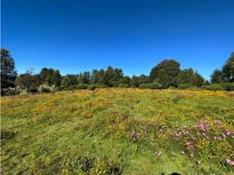 TERRENO EN VENTA PARA RANCHO EN VALLE DE BRAVO