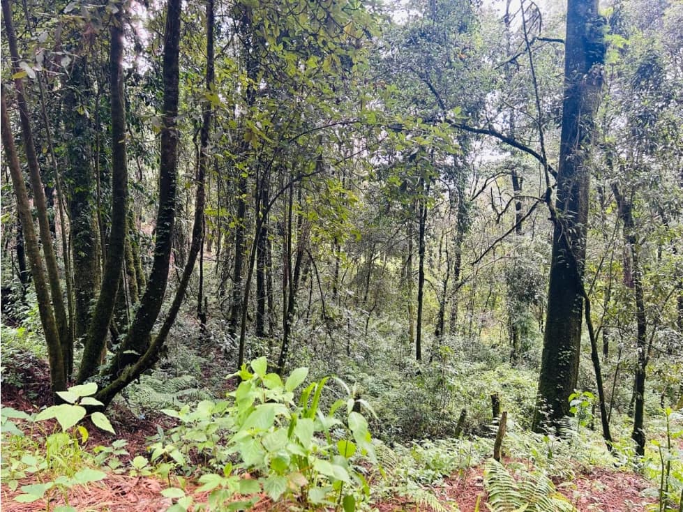 TERRENO EN VENTA EN EXCLUSIVA ZONA EN VALLE DE BRAVO — foto 4