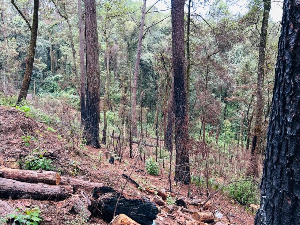 TERRENO EN VENTA EN EXCLUSIVA ZONA EN VALLE DE BRAVO — foto 5