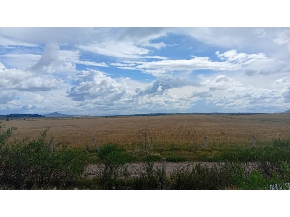 EXCELENTE OPORTUNIDAD TERRENO A PIE DE CARRETERA 8HA — foto 2