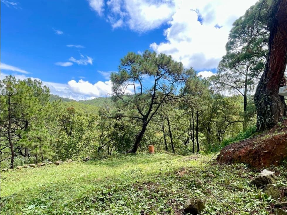 TERRENO EN VENTA VALLE DE BRAVO I EL CEREZO — foto 1