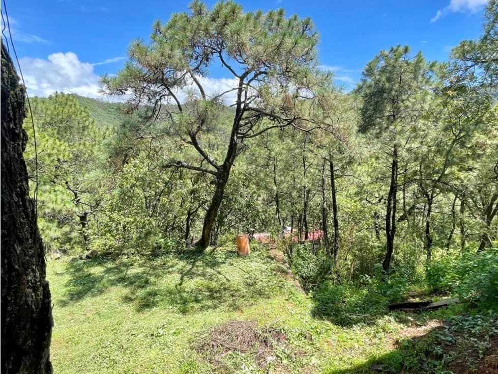 TERRENO EN VENTA VALLE DE BRAVO I EL CEREZO — foto 4