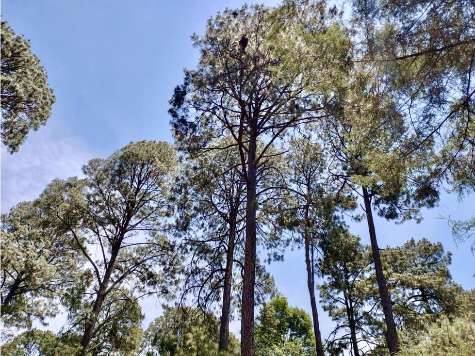 TERRENO EN VENTA I 1,911M2 I A MINUTOS DE RODAVENTO — foto 6