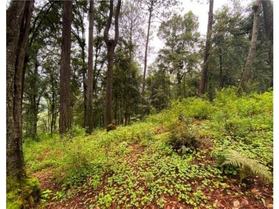 TERRENO EN VENTA | 3,382 M2 | CERRO GORDO | VALLE DE BRAVO — foto 1