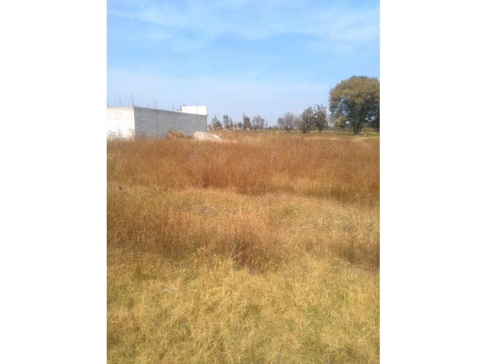 VENTA DE TERRENO RÚSTICO EN EL MAGISTERIO, TULANCINGO. — foto 3