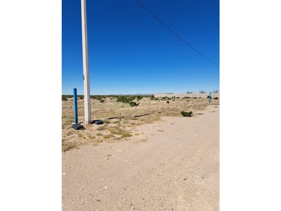 TERRENO CAMPESTRE EN SAMALAYUCA — foto 6