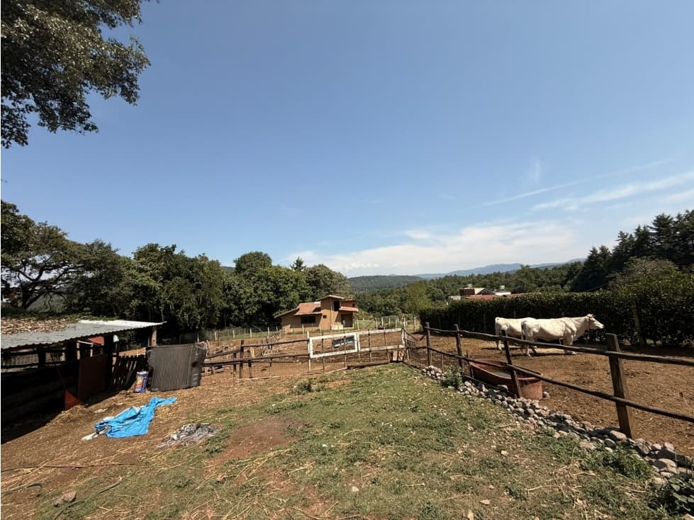 TERRENO EN VENTA, VALLE DE BRAVO. — foto 6