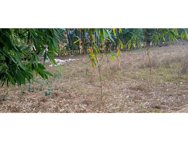 TERRENO EN VENTA EN ACATITLÁN
