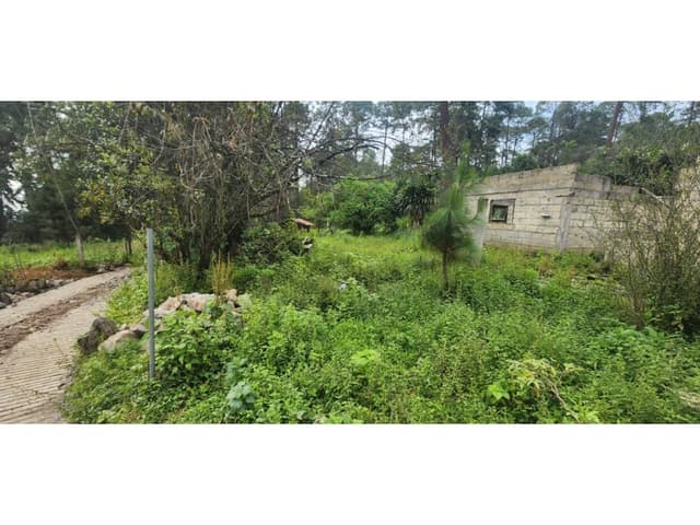 Venta Terreno en Castellano