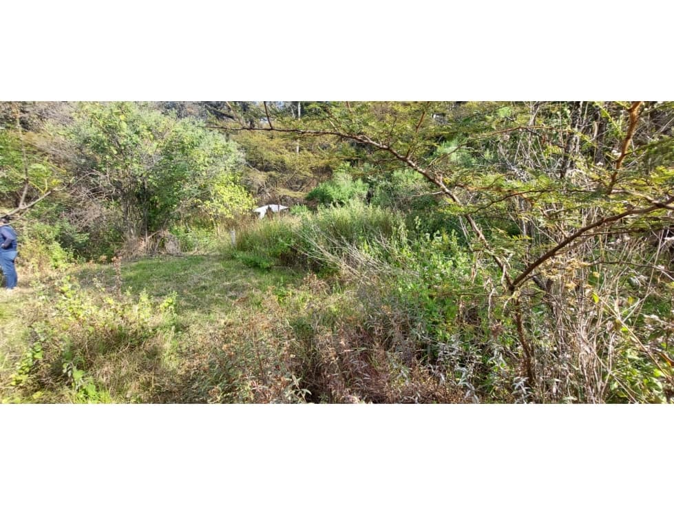 TERRENO EN VENTA EN RINCÓN DE ESTRADAS — foto 2