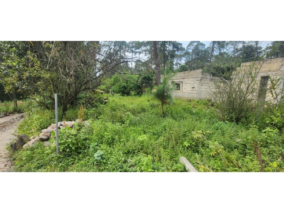 Venta Terreno en Castellano — foto 2