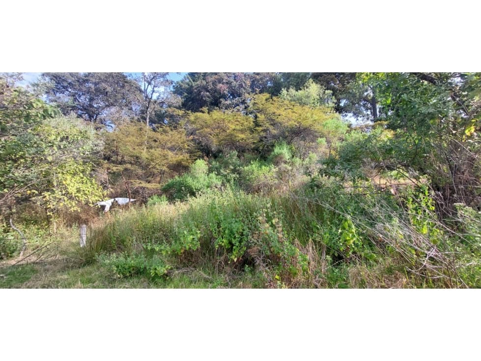 TERRENO EN VENTA EN RINCÓN DE ESTRADAS — foto 3