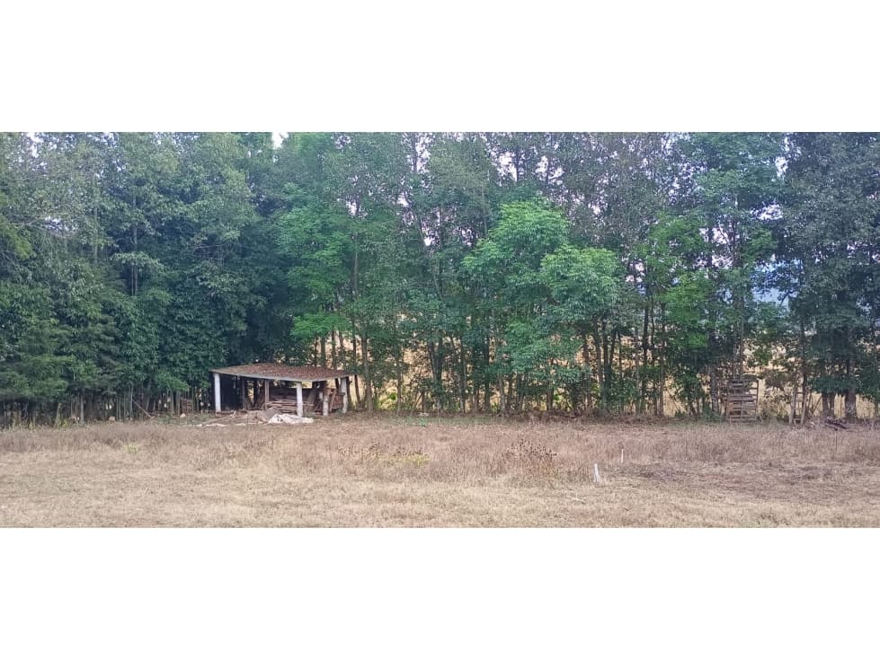TERRENO EN VENTA EN ACATITLÁN — foto 3