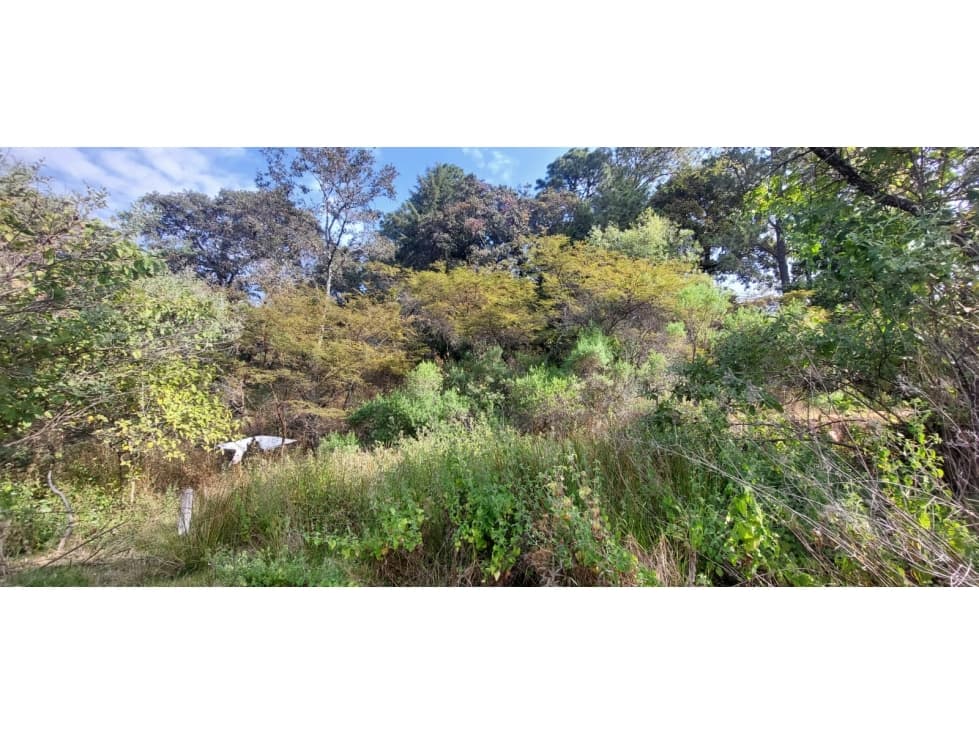 TERRENO EN VENTA EN RINCÓN DE ESTRADAS — foto 4