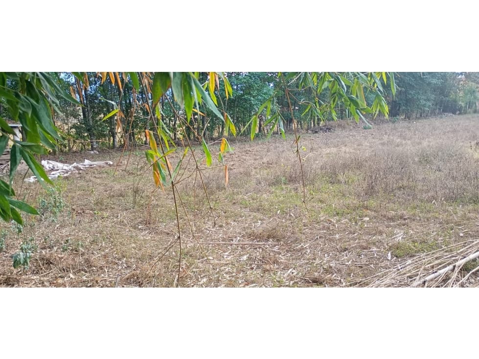 TERRENO EN VENTA EN ACATITLÁN — foto 4