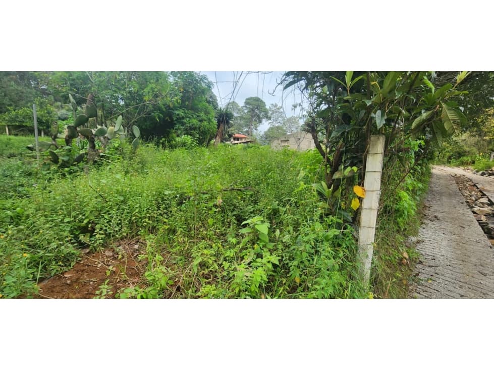 Venta Terreno en Castellano — foto 5