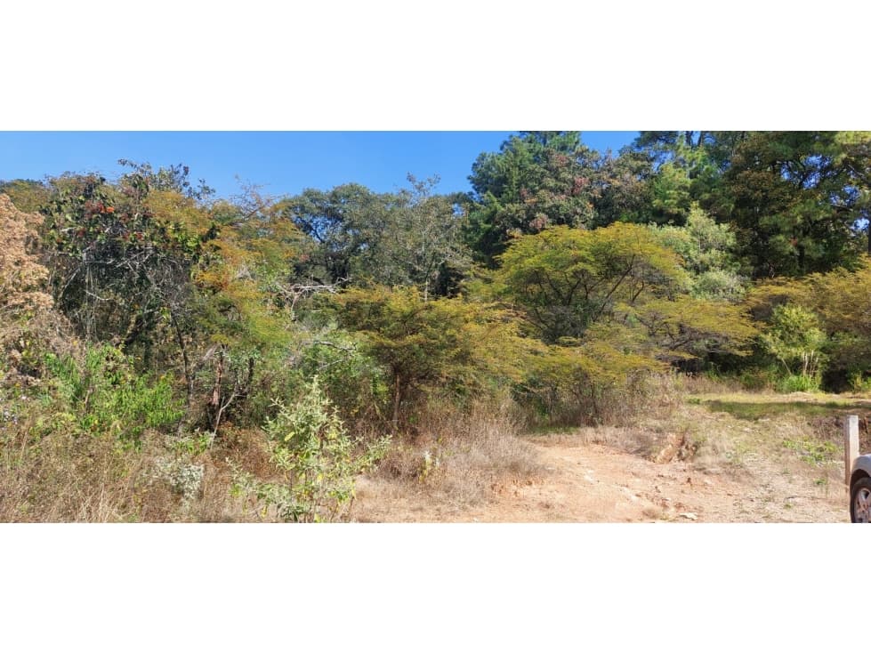 TERRENO EN VENTA EN RINCÓN DE ESTRADAS — foto 6