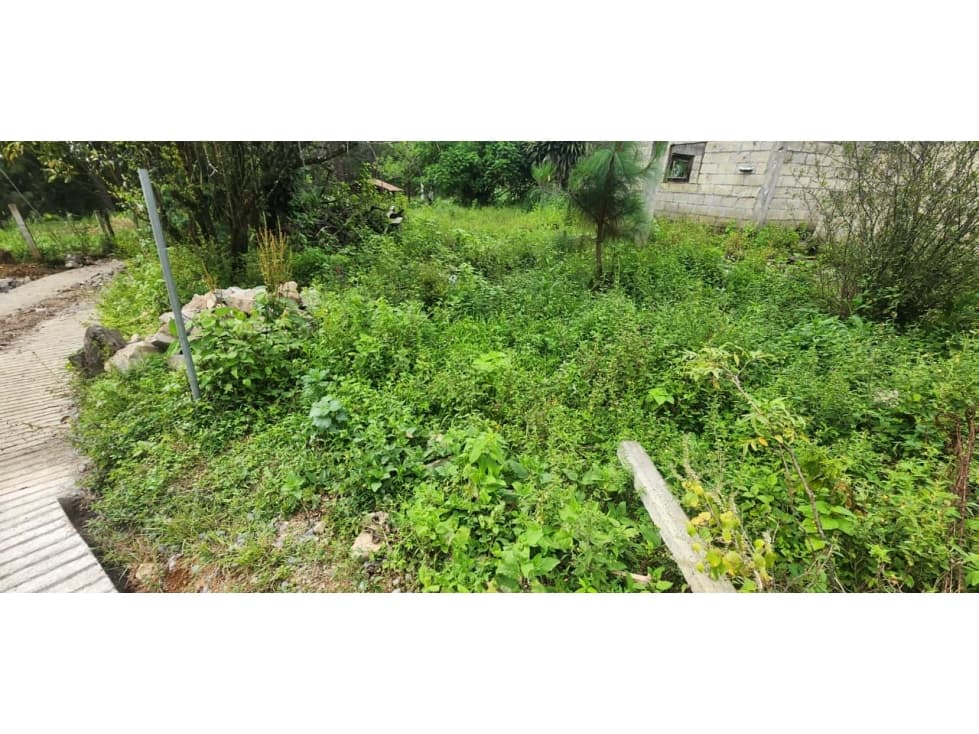 Venta Terreno en Castellano — foto 6