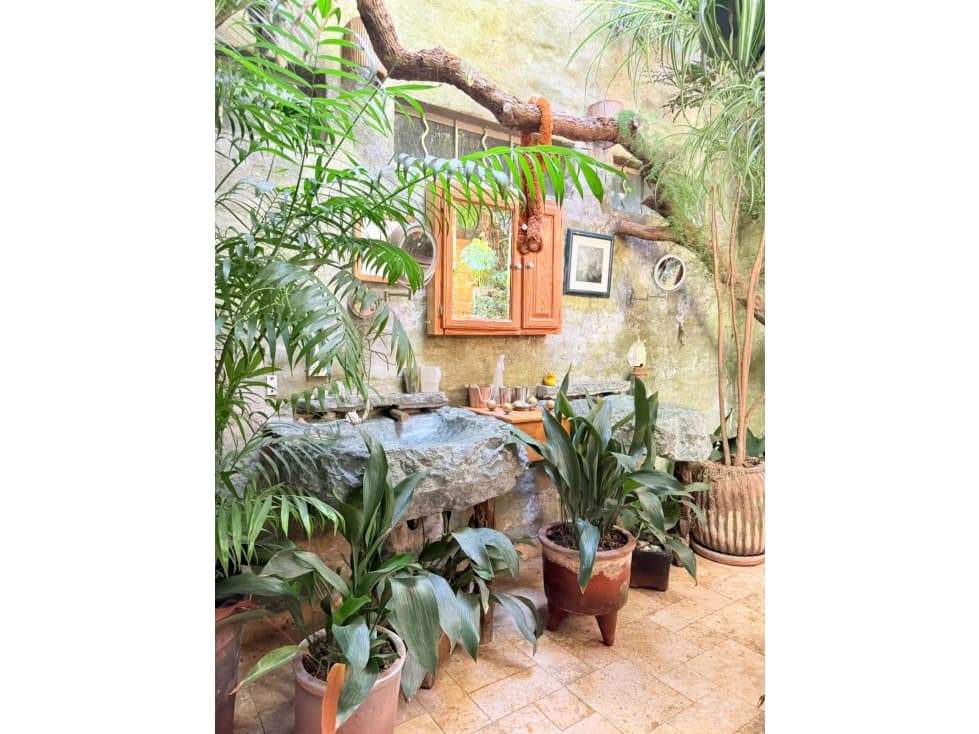 CASA ARMONIA - DESIERTO DE LOS LEONES CDMX — foto 5