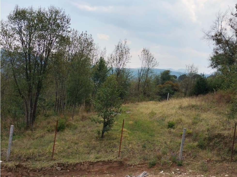 Terreno en venta en omitlan de juarez, hgo. — foto 6