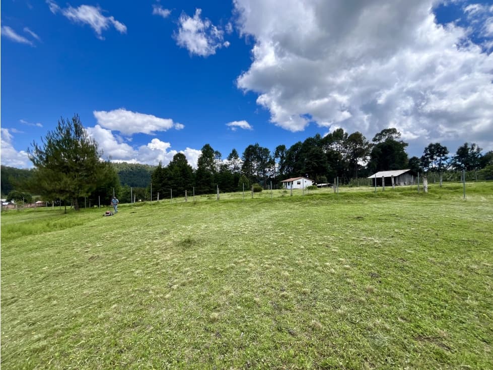 Terreno en venta | Saucos | Valle de Bravo. — foto 4
