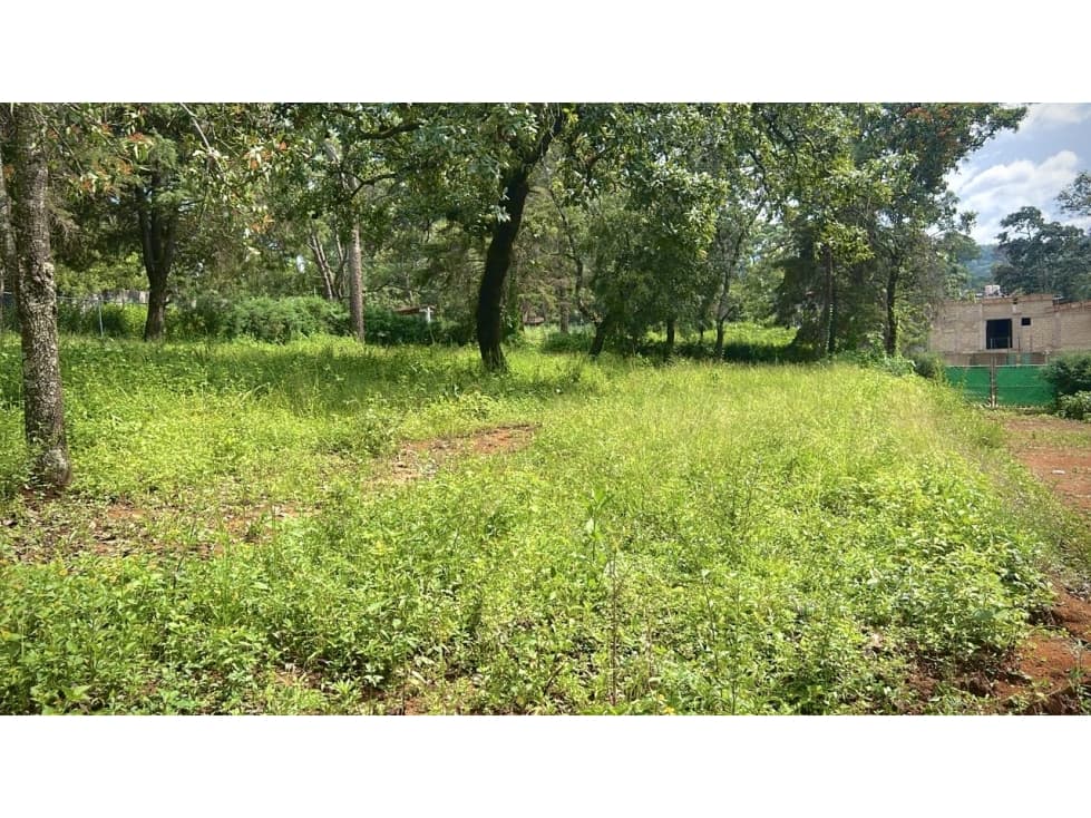 Terreno plano | Venta | Pinal de Avándaro. — foto 3