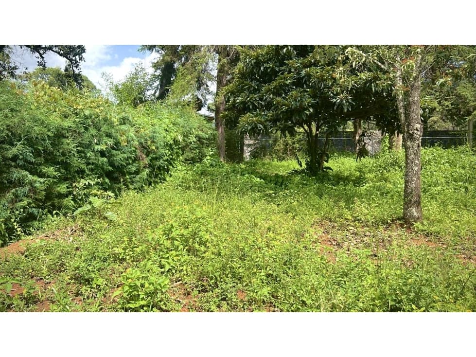 Terreno plano | Venta | Pinal de Avándaro. — foto 4