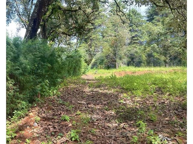 Terreno plano | Venta | Pinal de Avándaro.