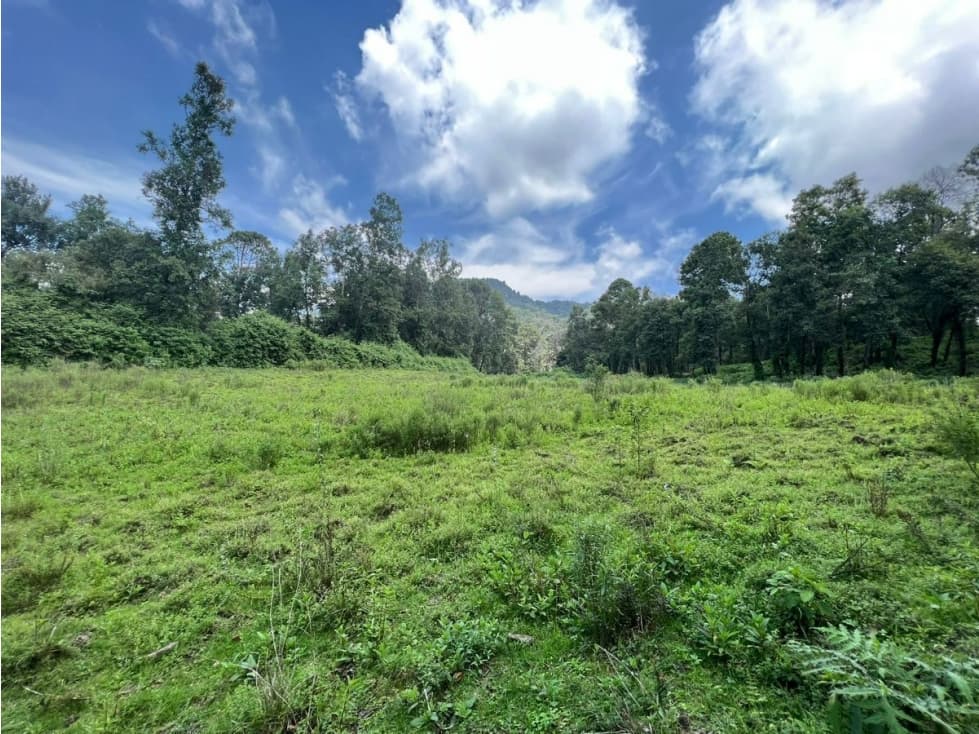 TERRENO EN VENTA, EL TEMPORAL. — foto 3