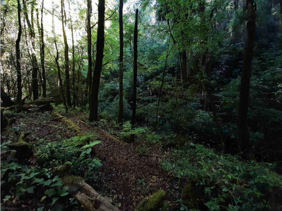 Terreno en Venta, Cerro Gordo Avándaro — foto 1