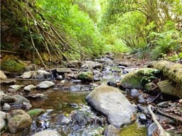 TERRENO EN VENTA EN AVÁNDARO