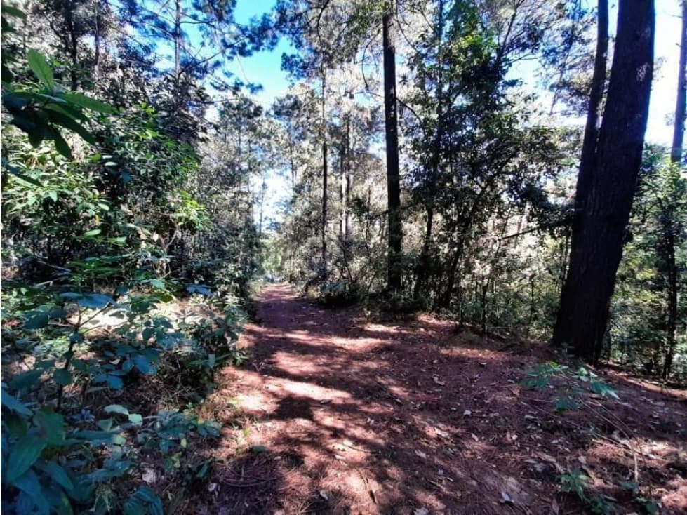 TERRENO EN VENTA EN AVÁNDARO — foto 3