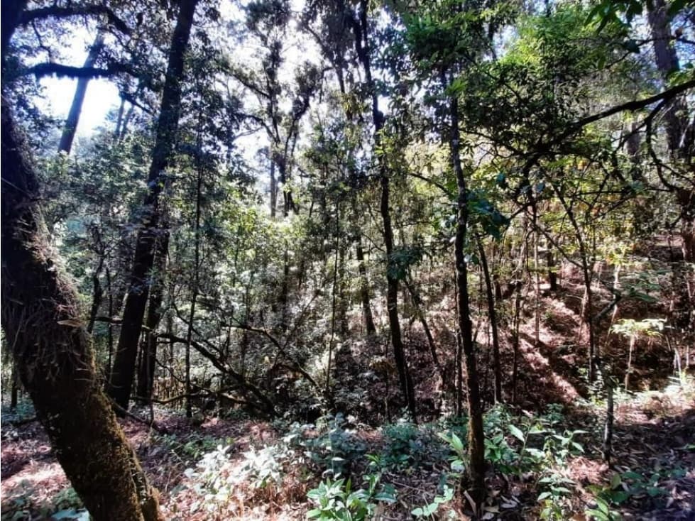 TERRENO EN VENTA EN AVÁNDARO — foto 4